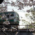 あひぃ
